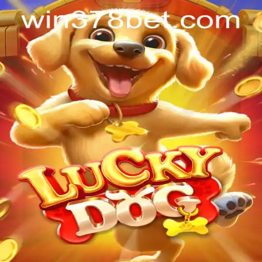 Discovering the Thrills of LuckyDog: A Comprehensive Guide